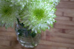 flowers-1417627_960_720